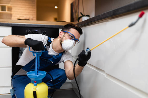 Best Mosquito Control Services  in Enosburg Falls, VT