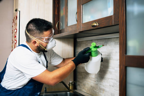 Best Best Pest Control Companies  in Enosburg Falls, VT
