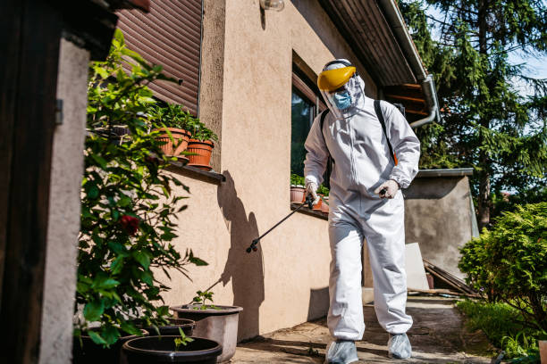 Pest Control for Restaurants in Enosburg Falls, VT