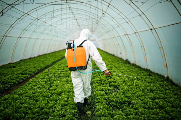 Trusted Enosburg Falls, VT Pest Control Experts